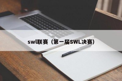 ​swl联赛（第一届SWL决赛）