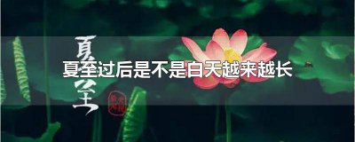 ​夏至后是不是白天越来越长 夏至以后白天越来越短吗