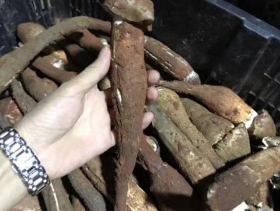 它是“伞把菇”,只在农村才有,卖百元一斤,做菜煮汤味道贼好吃