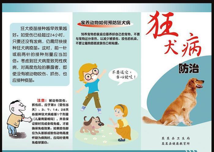 男子被猫抓伤身亡, 狂犬病认识与预防大揭秘