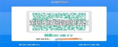 黄码改绿码到哪里去改