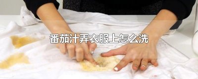 番茄汁弄衣服上怎么洗