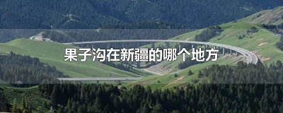 ​果子沟在新疆的哪个地方