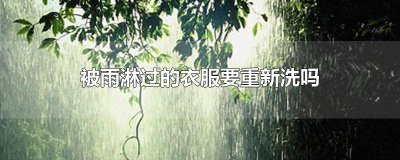 ​被雨淋过的衣服要重新洗吗