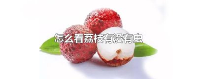 ​怎么看荔枝有没有虫