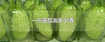 ​一斤苦瓜泡多少酒