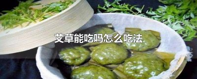 ​艾草能吃吗怎么吃法