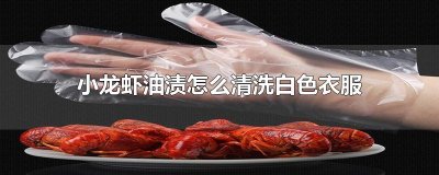 ​小龙虾油渍怎么清洗白色衣服