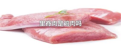 ​里脊肉是鸡肉吗