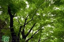 惊蛰如何养生？惊蛰前后如何养生？