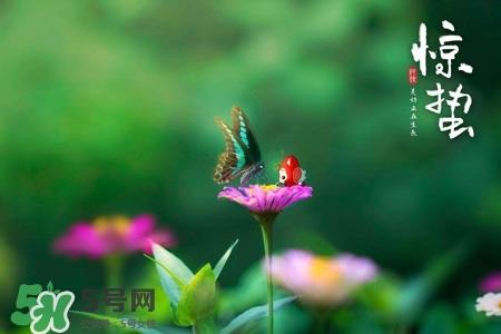 惊蛰如何养生？惊蛰前后如何养生？