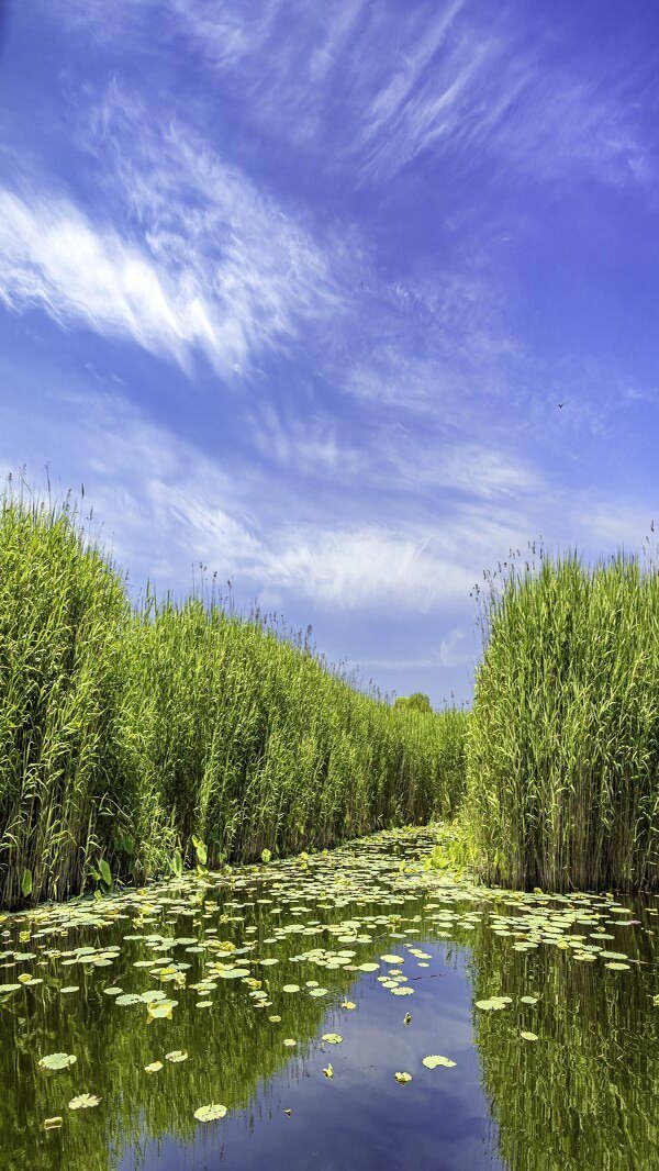 库尔勒有什么旅游景点（库尔勒旅游景点有哪些地方）