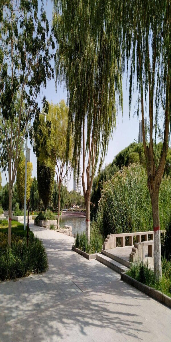 库尔勒有什么旅游景点（库尔勒旅游景点有哪些地方）