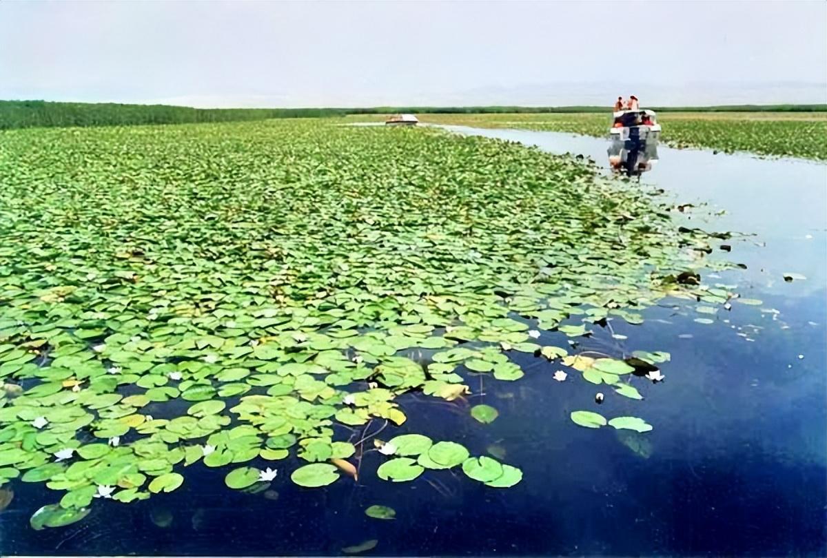 库尔勒有什么旅游景点（库尔勒旅游景点有哪些地方）