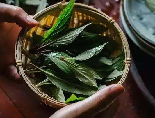 24节气小满吃什么,小满吃什么图3