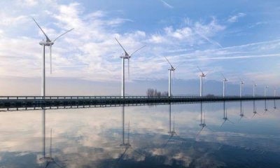 ​植物是可再生能源,什么是可再生能源