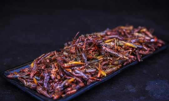 蚂蚱可以吃,农村草丛里常见的蚂蚱图片图3