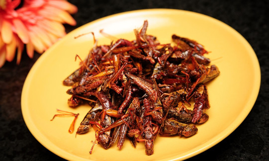 蚂蚱可以吃,农村草丛里常见的蚂蚱图片图1