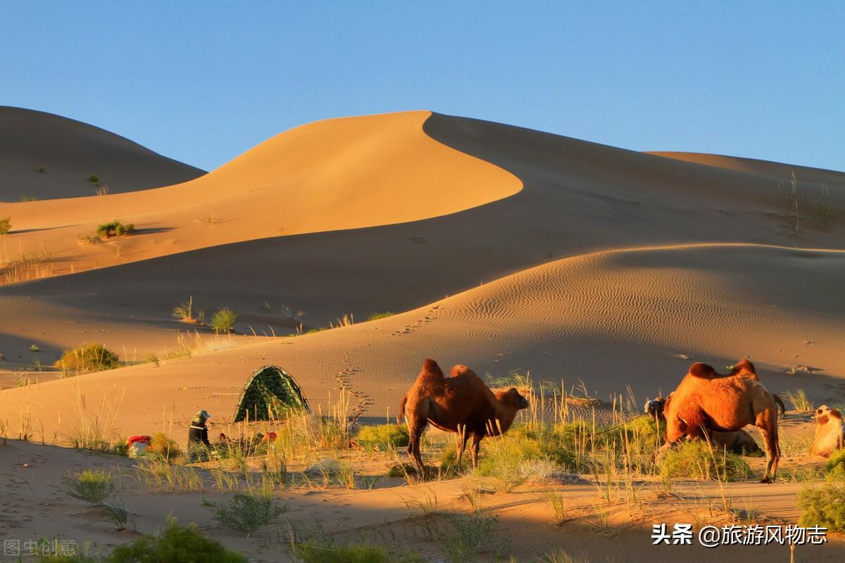 阿拉善沙漠在哪里(阿拉善沙漠叫什么名字)