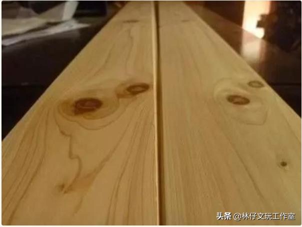 桧木简介（有千年柏万年松）(4)