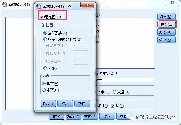 spss做聚类分析应该有哪些数据（SPSS聚类分析的软件操作与结果解读）(6)