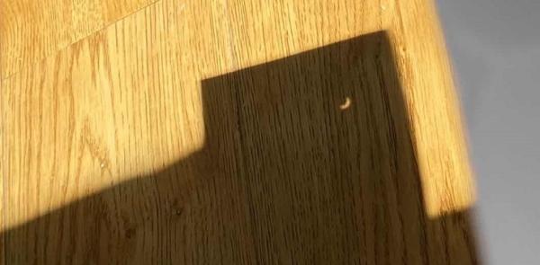 日环食即将到来准备好了吗（日环食还有这些）(7)