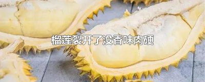 ​榴莲裂开了没香味肉硬