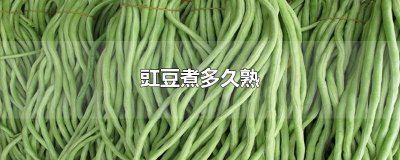 ​豇豆煮多久熟