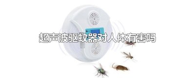 ​超声波驱蚊器对人体有害吗