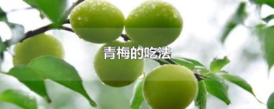 ​青梅的吃法