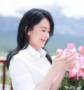 ​俞飞鸿为什么一直没结婚(俞飞鸿与窦文涛为什么不结婚)