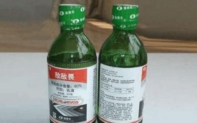 ​敌敌畏什么意思网络用语？敌敌畏是啥玩意