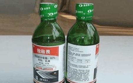 敌敌畏什么意思网络用语？敌敌畏是啥玩意-第1张图片-