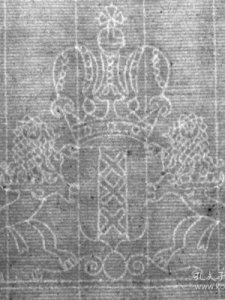 ​什么是水印(怎么把视频上面的水印去掉)