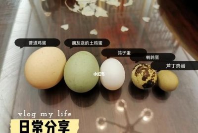 ​一个鹌鹑蛋顶几个鸡蛋,吃几个鹌鹑蛋相当于一个鸡蛋