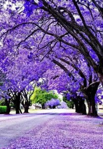 ​网名伤感(伤感的网名来了)