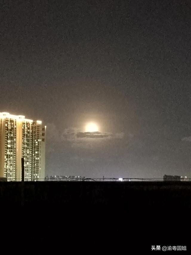 不要错过的天空（迷人的天空）(1)