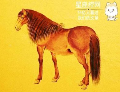 ​这四大生肖女多为贵妇，气质高贵，人见人追！