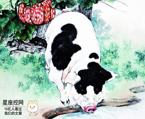 这四大生肖女多为贵妇,气质高贵,人见人追!