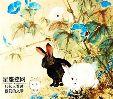 这四大生肖女多为贵妇,气质高贵,人见人追!