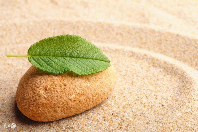 整天疑神疑鬼，疑心病重三大生肖女