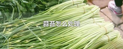 ​蒜苔怎么处理