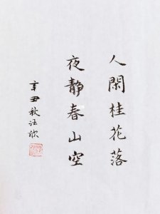​人闲桂花落夜静春山空什么意思（人闲桂花落夜静春山空原文介绍）