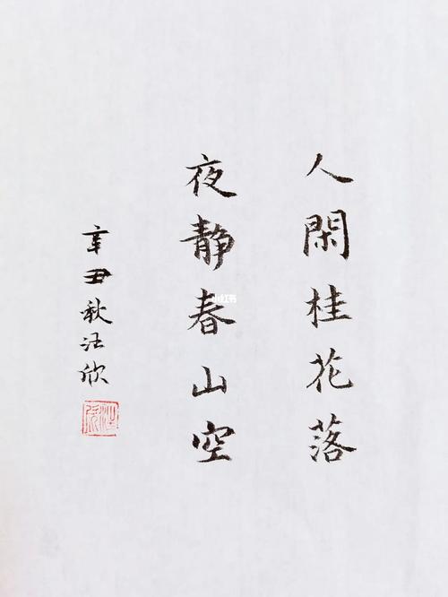 人闲桂花落夜静春山空什么意思（人闲桂花落夜静春山空原文介绍）