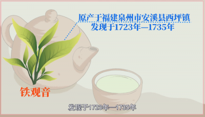​铁观音属于什么茶