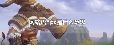 ​网络语npc是什么意思