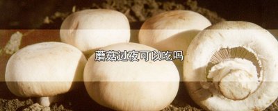 ​蘑菇过夜可以吃吗有毒吗 蘑菇过了夜能吃吗