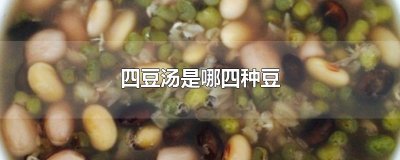 ​四豆汤是哪四种豆