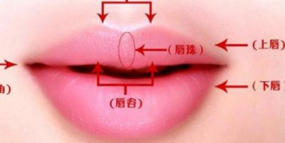 ​怎样判断是否有唇珠