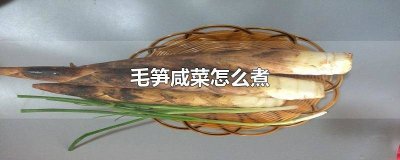 ​咸菜笋怎么煮 咸菜烧笋的做法大全窍门